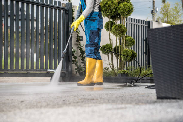 Best Sidewalk and Walkway Cleaning  in Gillett, WI